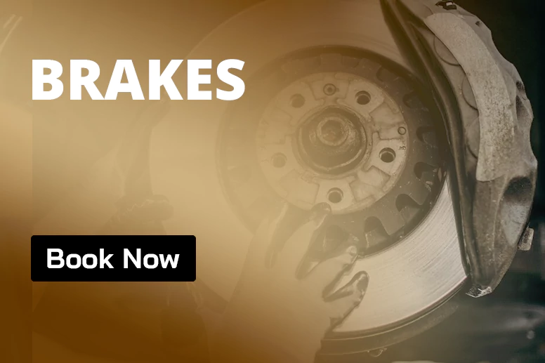 bracks image
